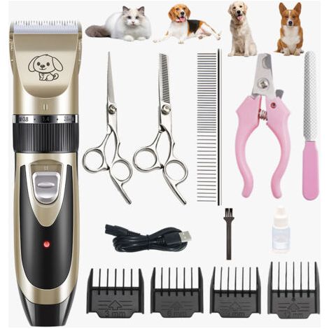 Rechargeable tondeuse professionnelle pour animaux de compagnie avec accessoires ， amovibles et lavables ， pour chiens, chats （or noir）