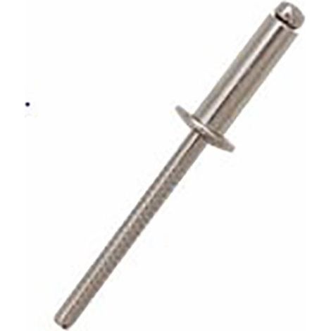 Rivet Acier InoxydableA4 316 Gris longueur 12mm diamètre 4.8mm ( Prix pour Sachet de 100 )