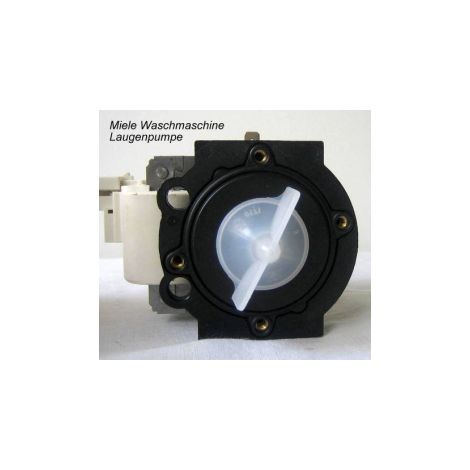 Miele 4301357800 Machine a laver Accessoires pompes a eaux usees Pompe (1/5)