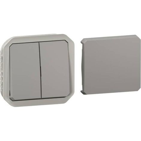 Transformeur étanche réversible pour réaliser 5 fonctions Plexo IP55 IK08 avec enjoliveur finition gris (1/4)