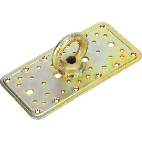 Piastra Con Occhiolo Acc. Trop. Art.862 100X200Mm - 4 Pz