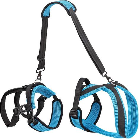 Harnais de Soutien pour Chien - Sling de Rééducation et Transport - Pour Chiens Âgés ou à Mobilité Réduite - Tailles S/M/L