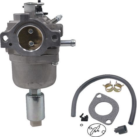 Carburateur pour Briggs & Stratton 287707, 310707, 698620, 791886 – Remplacement (1/5)