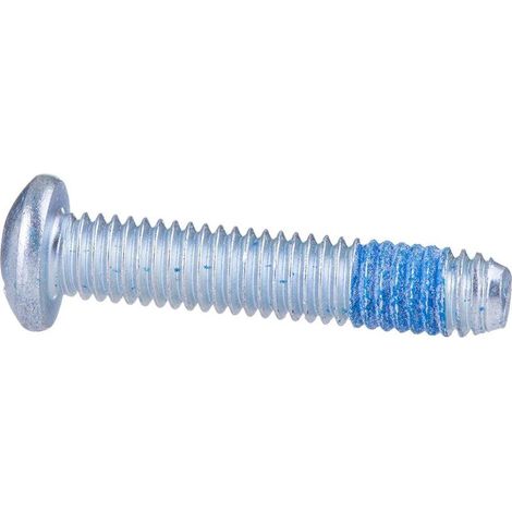 1613490029 Vis ovale Torx Bosch Piece de rechange