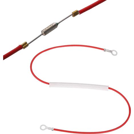 Fusible Thermique Universel Pour Cuiseur À Riz, 216°C 10A 250V Fusible Thermique Métallique Avec Bornes À Anneaux Aux Deux Extrémités Et Gainage En Fibre De Verre Pour Pièce (1/5)