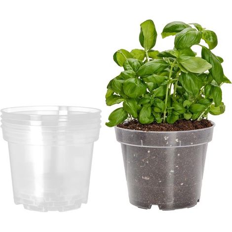 Vasi rotondi trasparenti per piante da interno, set da 5, Ø 21 cm, altezza 16 cm (1/5)