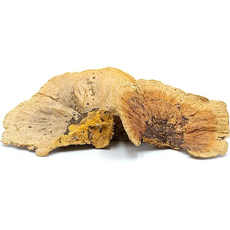 BioHub Natural Huba 6 Stück in einer Packung (1/5)