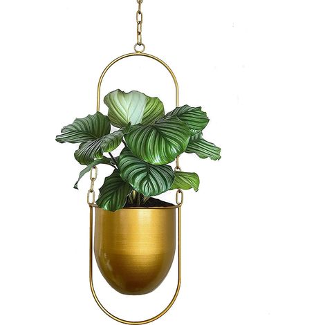Jardinières suspendues en métal - Pour plantes d'intérieur - Style bohème moderne - Décoration d'intérieur minimaliste - Doré (1/5)
