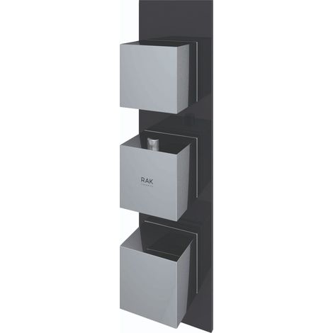 RAK Feeling Black Square Concealed Thermostatic Dual Control Shower Valve - RAKFSV2504S (1/2)