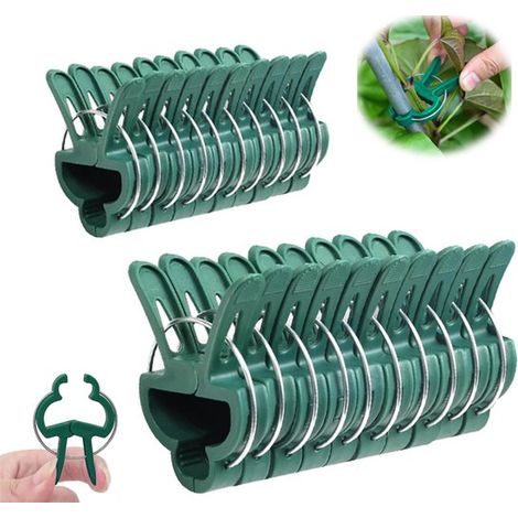 Lot de 20 pinces à plantes – Pinces pour plantes d'extérieur – Supports pour tomates grimpantes et vignes – Pinces réutilisables pour jardin et serre – Vert – 10 petites + 10 grandes (1/5)
