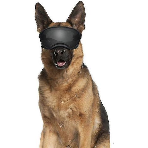 Lunettes de soleil pour chien, protection UV, contre le vent, la poussière et la buée, avec sangle réglable. (1/4)