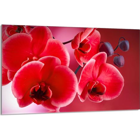 Glasschutzplatte für den Herd 80x52 Orchidea (1/5)