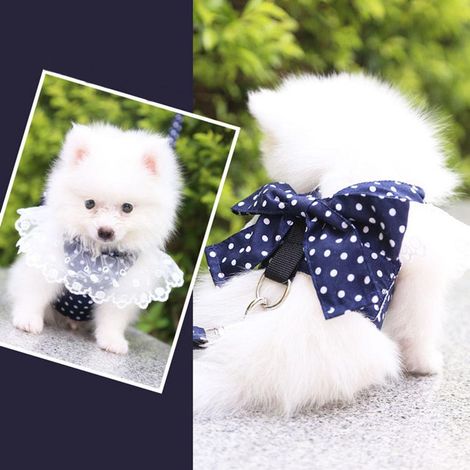 Bequemes Geschirr für Hunde und Katzen, inklusive Leine, Weste für kleine Hunde, marineblau, Größe 2XL, ideal für Spaziergänge und Partys. (1/5)