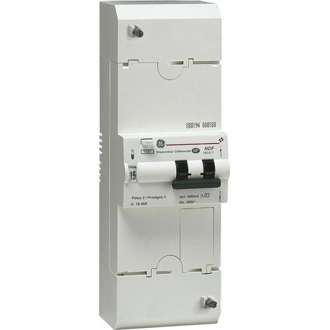 Disjoncteur de branchement BIPO 45A sélectif MICHAUD N463 (1/3)