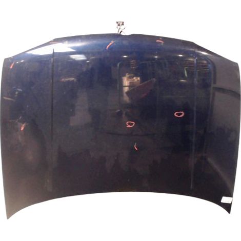 Capot VOLKSWAGEN Golf Iv 98-2004 [PRODUIT D'OCCASION]♻️1j0823031b (1/3)