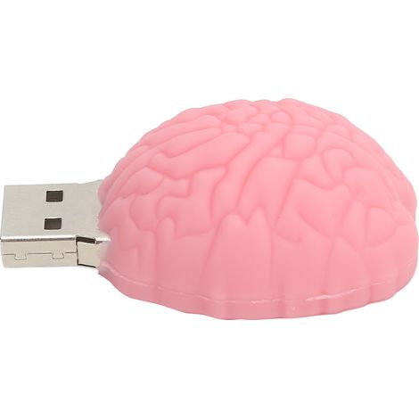 Clé USB 2.0 16GB en Forme de Cerveau Rose - Mémoire Flash Portable pour PC et Ordinateur (1/5)