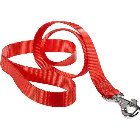Ferplast CLUB G Laisse en nylon pour chiens, de différentes tailles et couleurs. Variante G25/120 - Misure: 25 mm x L 120 cm - Rouge