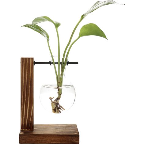 Vase hydroponique sur pied en bois avec récipient verre ampoule style rétro pour propagation plante déco maison 1 contenant (1/3)