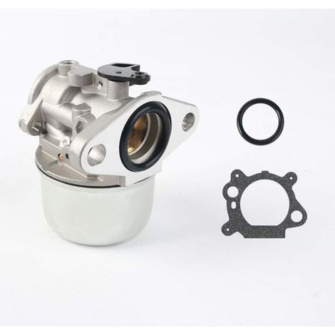Vergaser-Reparatursatz, kompatibel mit Briggs & Stratton 497586, 498170, 799868, 498254, 497314, 497347, 698444 (1/4)