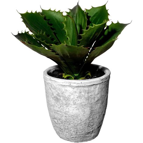 Mömax Kunstpflanze Echeveria in Grün