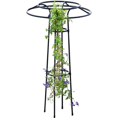 Rankhilfe Für Innenbereich Klettergerüst Für Blumen Mit