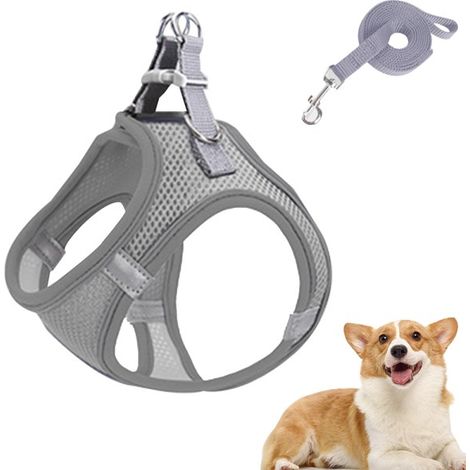 Harnais pour chiot, chat et petit chien - Harnais chien XS pour petites races, gilet réglable pour chien moyen. (1/5)