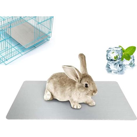 1 tappetino rinfrescante per conigli e altri animali domestici (cuccioli, gattini, porcellini d'India, gatti) – 30 x 20 cm (1/4)