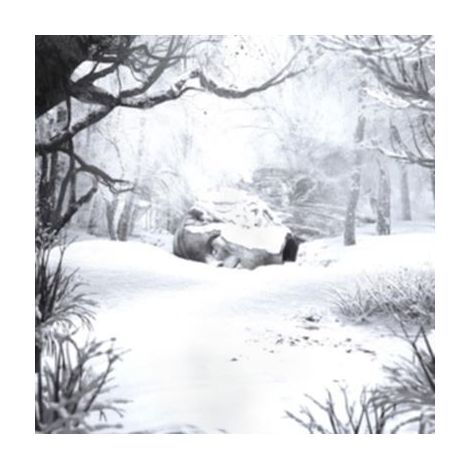 SZNZ Winter