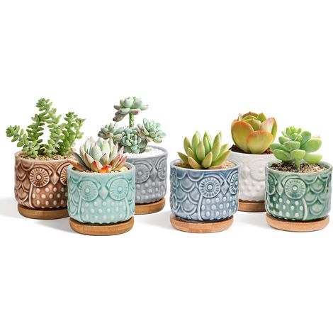 Ensemble de 6 pots en céramique de 6,5 cm pour plantes succulentes avec plateau en bambou en forme de hibou, cache-pot pour cactus, cadeau idéal pour un anniversaire ou un mariage. (1/5)
