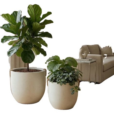 Fleur de Bonsai, Grande capacité, Design moderne minimaliste, BLANC (1/2)