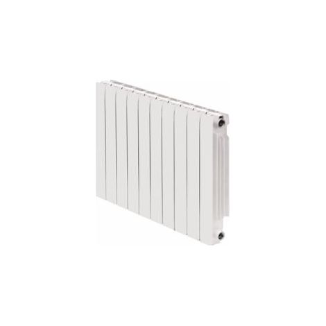 RADIADOR EUROPA E700 DE 10 ELEMENTOS FERROLI (1/4)