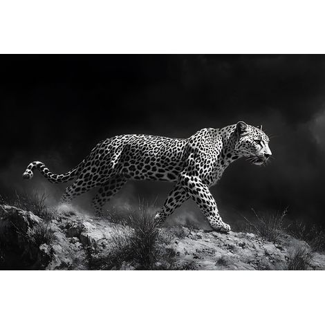 Tableau sur toile guépard sauvage 80x120 cm - Impression sur Toile Murale Décorative - Image imprimée en HD sur Toile - Toile sur Châssis en Bois FSC - Fabriqué en France (1/5)
