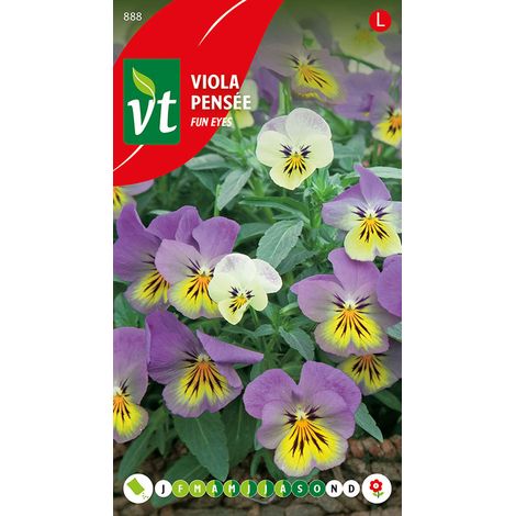 Pensée Miniature Fun Eyes - Ca. 0,2 gr (Livraison Gratuite) (1/2)