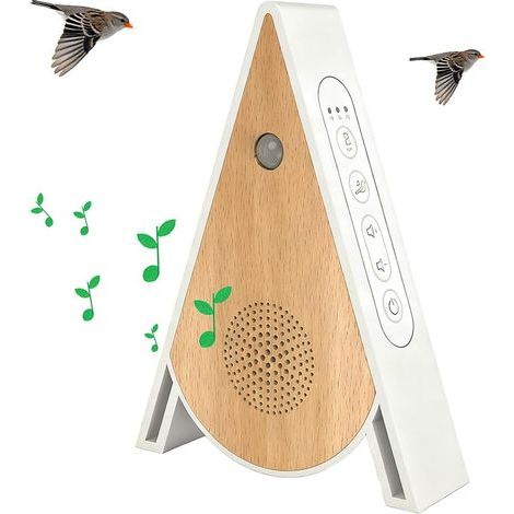 Boîte à Détecteur de Mouvement, Boîte à Chants d'oiseaux avec Support Mural, Musique Relaxante et Détente, Lecteur de Chansons Apaisantes pour Adultes, Dormir, Détente, Travail, Spa (1/5)