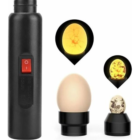 Lampe À Oeufs - Testeur D'oeufs LED Portable Pour Incubation - Fonctionne Sur Piles - Compatible Oeufs De Poule Canard Caille - 1 Pièce (1/5)