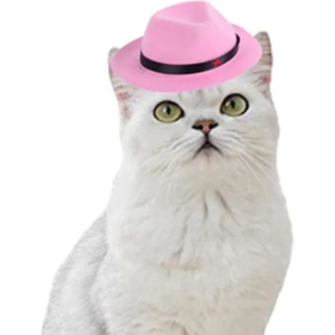 Chapeau De Cowboy Pour Chien Et Chat - Motif Étoile À Cinq Branches - Réglable Pour Fête Et Photo - Taille Unique (1/5)