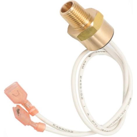 R0592300 pour chauffe-eau JandyJXi JXi200N JXi200NK JXi200P, capteur de température d'eau en cas de température excessive (1/5)