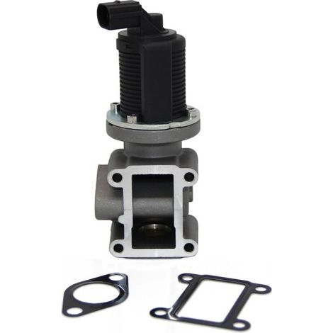 Vanne EGR avec joint 161859 1618NR Compatible avec 1.6 HDI C2 C3 C4 C5 Berlingo 206 207 307 308 407 1007 1618.59 1618.NR 9649358780 9660276280 9685640480 9672880080 (1/5)