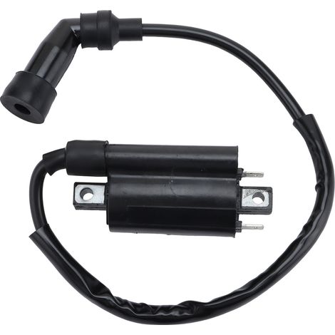 Yamaha YFM700 YFM700R 2006 2008-2019 Hochspannungstransformator XVS125 XVS250 Spule (1/4)
