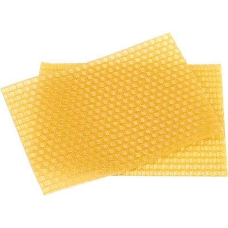 Grid Cool – Lot de 50 cadres en cire d'abeille pour ruche – Matériel d'apiculture – Dimensions 13 cm x 9 cm – Pour apiculteurs professionnels