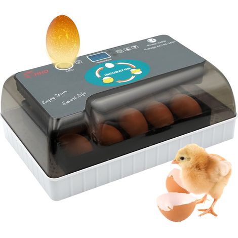Incubatrice automatica per uova, 12 incubatrici con controllo intelligente e preciso di temperatura e umidità, illuminazione a LED efficiente, adatta per polli, oche, anatre, piccioni e quaglie