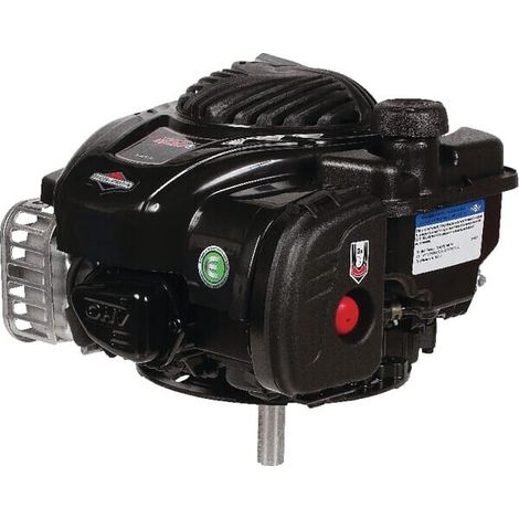 Motore BRIGGS ET STRATTON 09P6020015H5 (1/2)