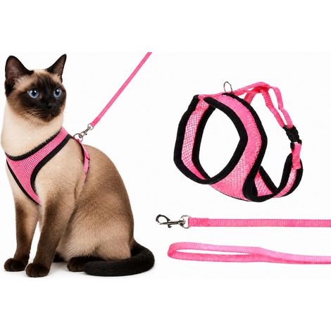 Harnais pour Chat - Harnais Rose avec Laisse Assortie - Mesh Respirant et Ajustement réglable - Fermeture clic sécurisée - 32cm / 36-48cm / 110cm (1/5)