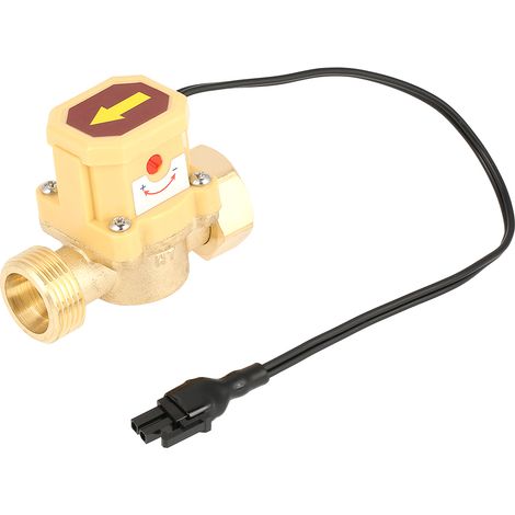 Interrupteur de débit G 3/4 (1/5)