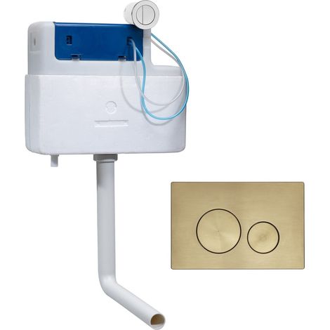 Roper Rhodes Torrent Concealed Dual Flush BTW + TR9037 Plate Brass Gold Finish