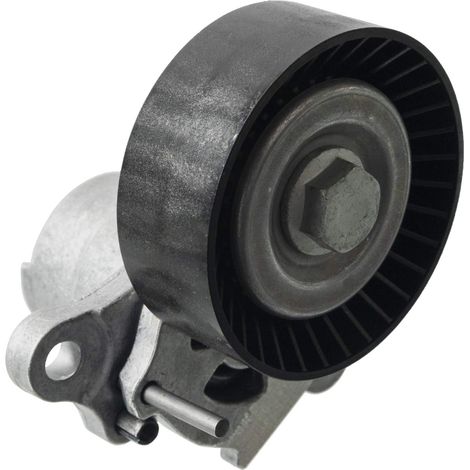 FEBI BILSTEIN FE170256 Keilriemenspanner