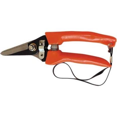 Forbici Coglifrutta e Ortaggi 18 cm