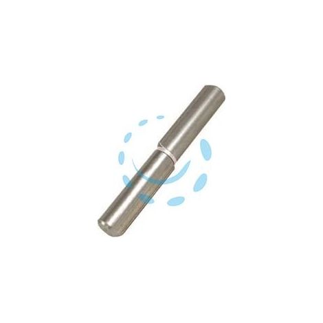 CERNIERE CON COSTA PERNO FISSO ART.255 - mm.100x ø 14