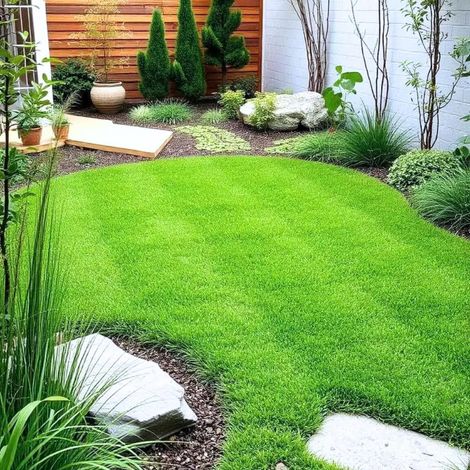 Gazon À Semer Jardin et Pelouse 2.5kg (75–100 m²) – Pousse Rapide Vert Vif Rustique pour Ombre et Zones Fraîches – Semence Résistante (1/5)
