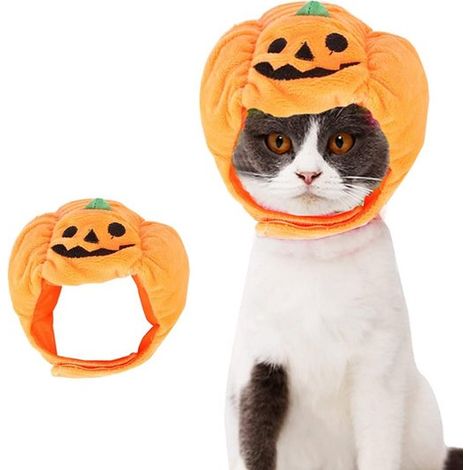 Kürbishut Hundebekleidung Katzenbekleidung Verstellbar Klettverschluss Hundekostüm Haustier Kopfbedeckung Größe S Tierbekleidung Halloween für Ka (1/5)